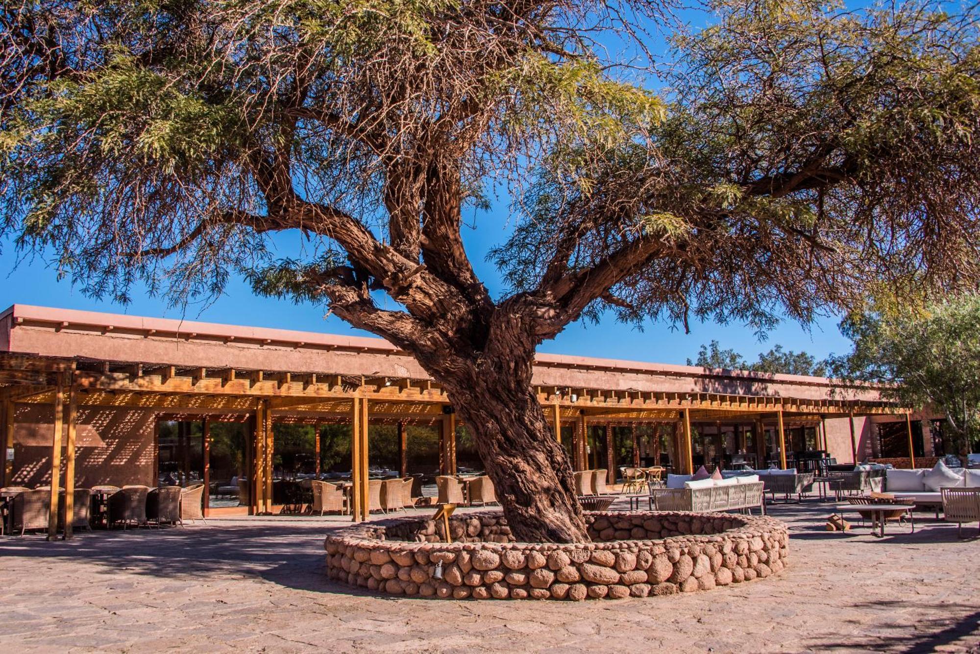 Hotel Cumbres San Pedro De Atacama Eksteriør bilde